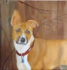 Heidi